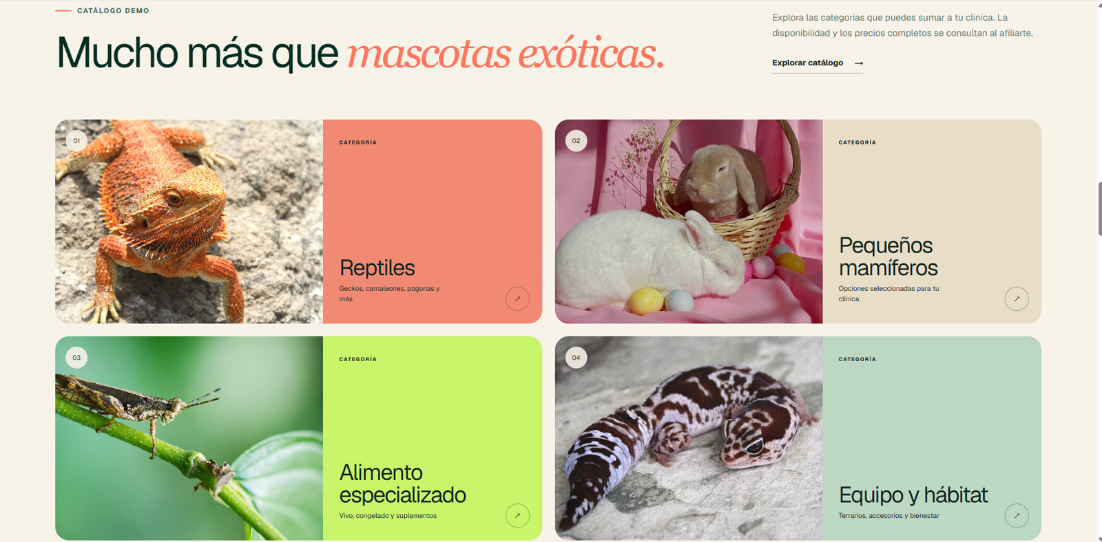 Sección de categorías del catálogo Kuani