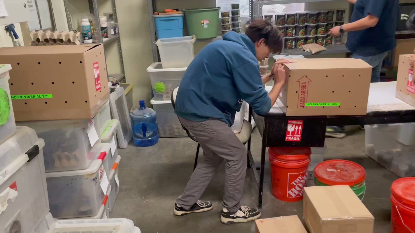 Preparación logística de pedidos Kuani
